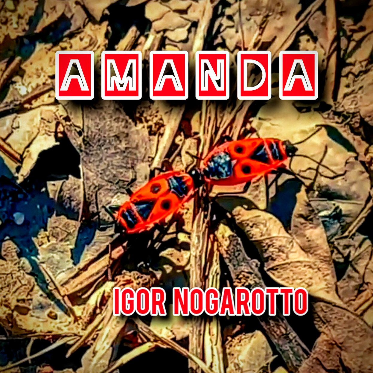 01. Copertina AMANDA - Igor Nogarotto